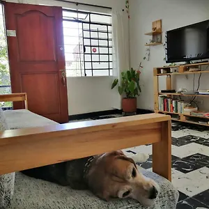 Hostel Selvatica Eco (adults Only) Medellin